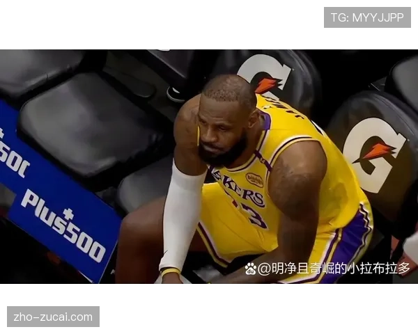 湖人罚球次数争议引关注 NBA常规赛裁判尺度受讨论